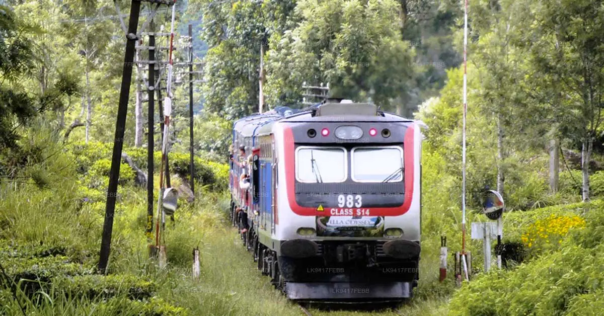 Two Additional Journeys for Ella Odyssey Train