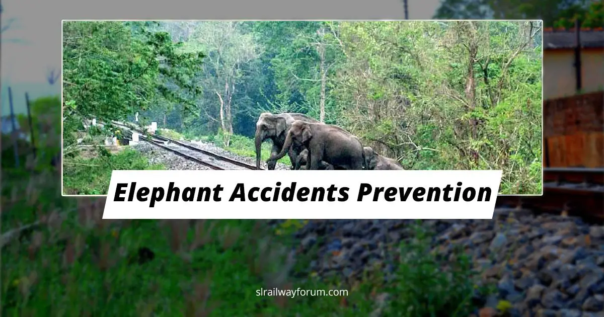 Elephant-Train Collisions Prevention Project