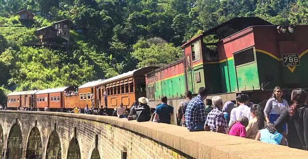 Calypso Special Train