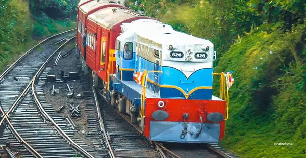 Commemorating the 16th year of the Tsunami in Sri Lanka
